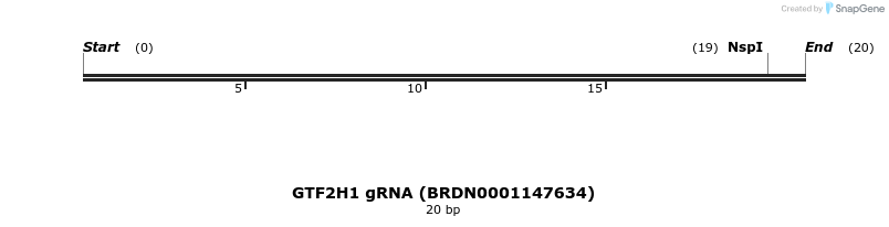 144061_map