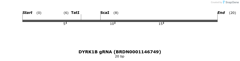 144082_map