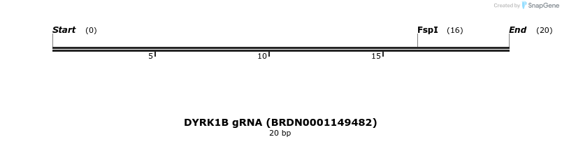 144083_map