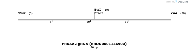 144095_map