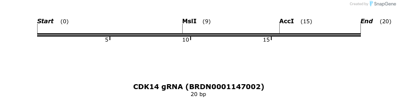 144098_map