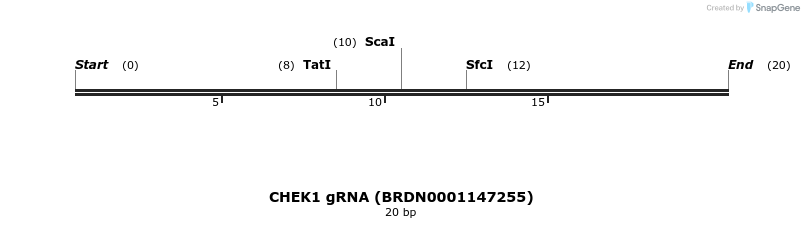 144102_map