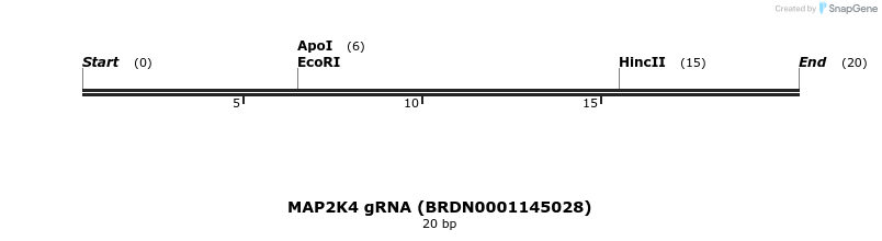 144110_map