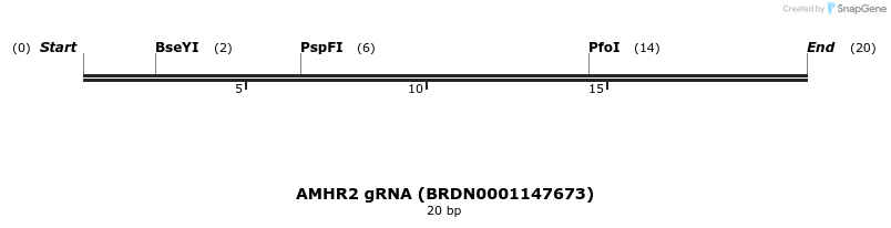 144118_map