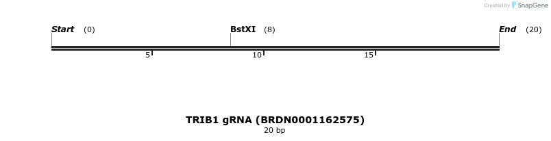 144123_map