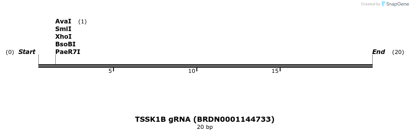 144130_map