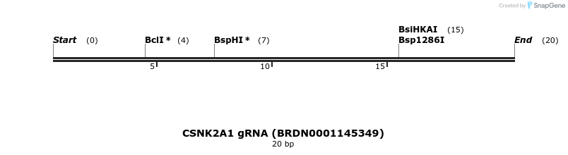 144134_map