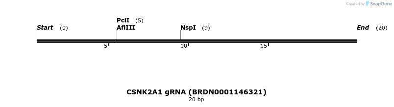 144135_map