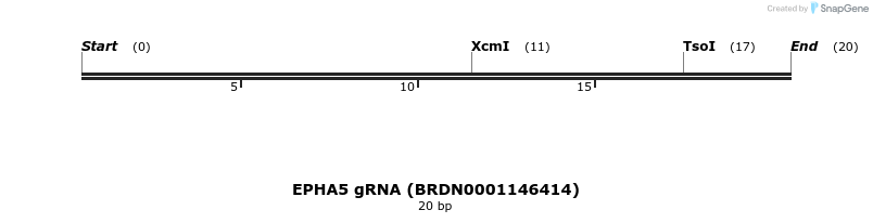 144136_map