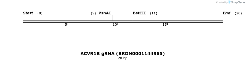 144140_map