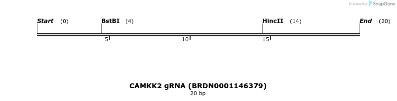 144159_map