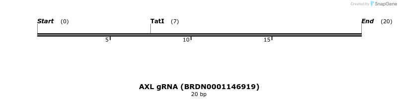 144162_map