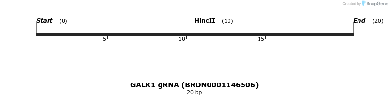 144163_map