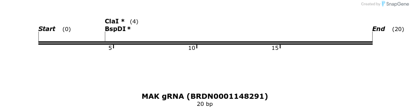 144169_map