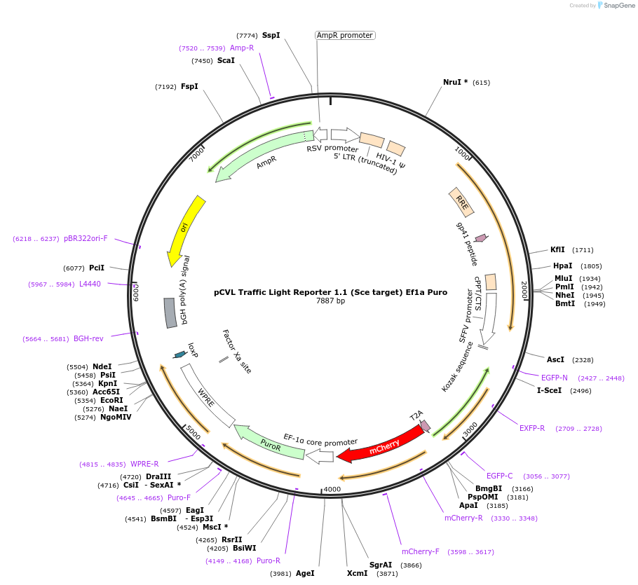 14417_map
