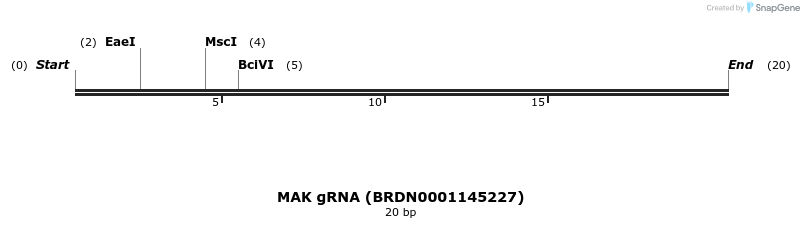 144171_map