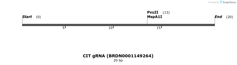 144182_map