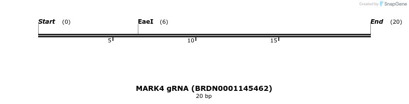 144187_map