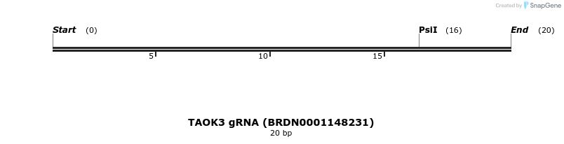 144197_map