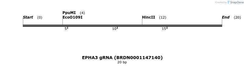 144205_map