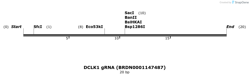 144207_map