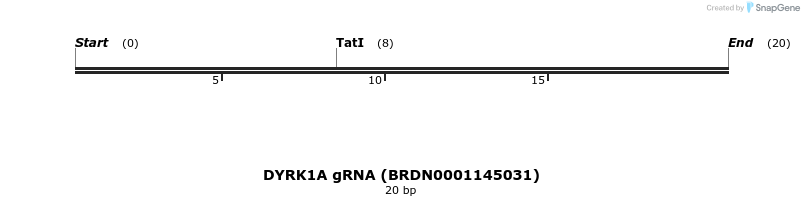 144215_map