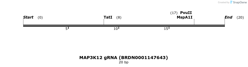 144221_map