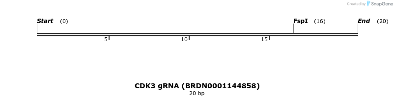144226_map