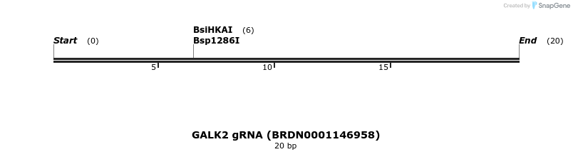 144228_map