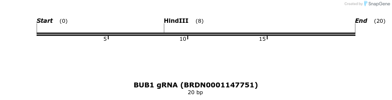 144232_map