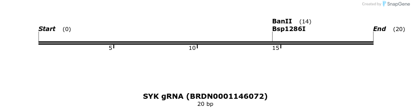144237_map