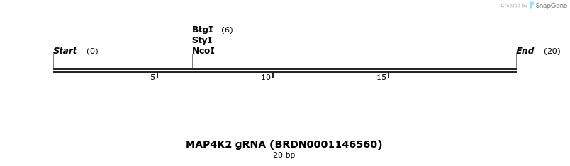 144240_map