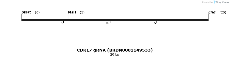 144245_map