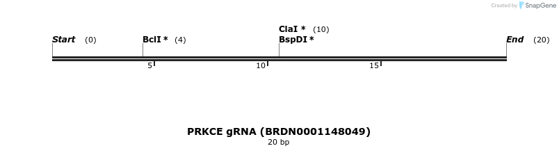 144251_map