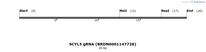 144253_map