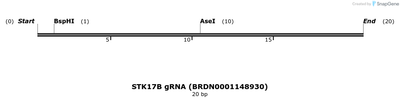 144257_map