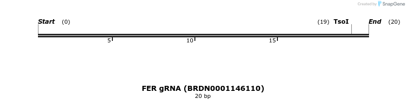 144262_map