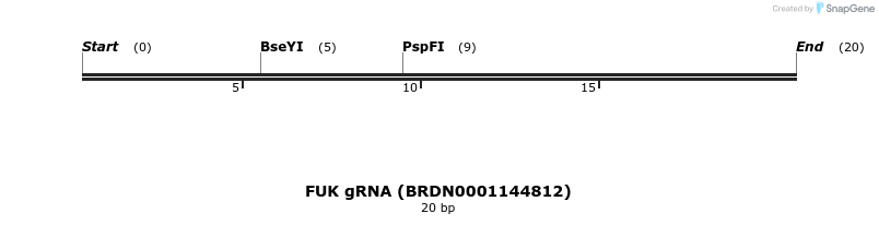 144263_map