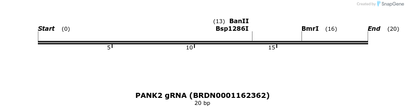 144271_map
