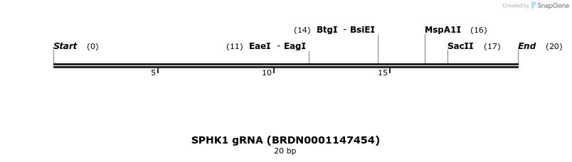 144273_map