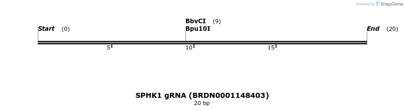 144275_map