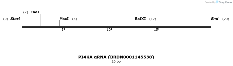 144277_map