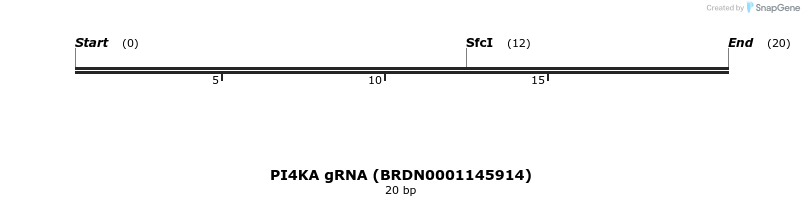 144278_map