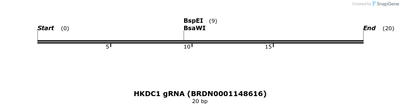 144287_map
