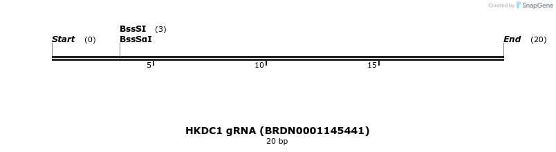 144289_map