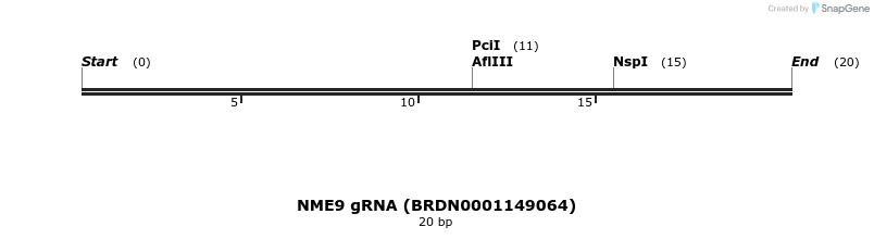 144295_map