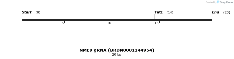 144297_map
