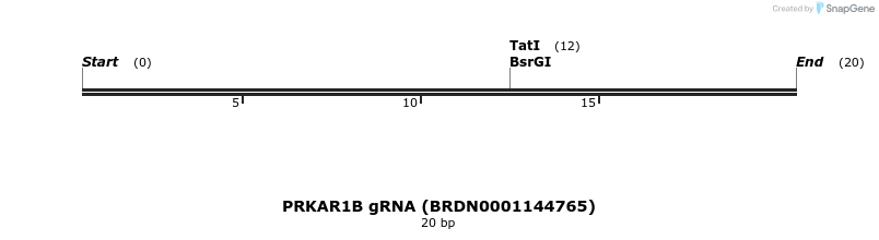 144299_map