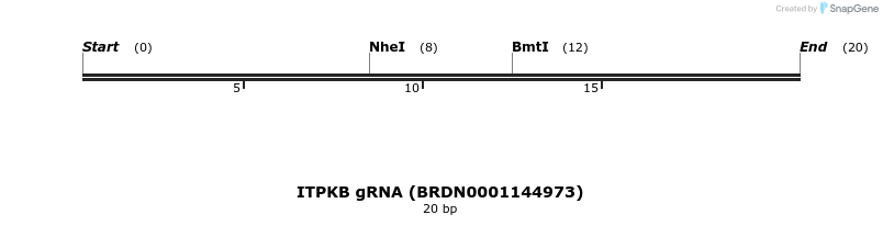 144332_map