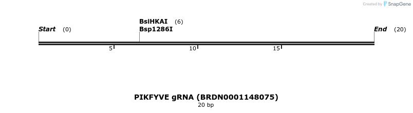 144351_map